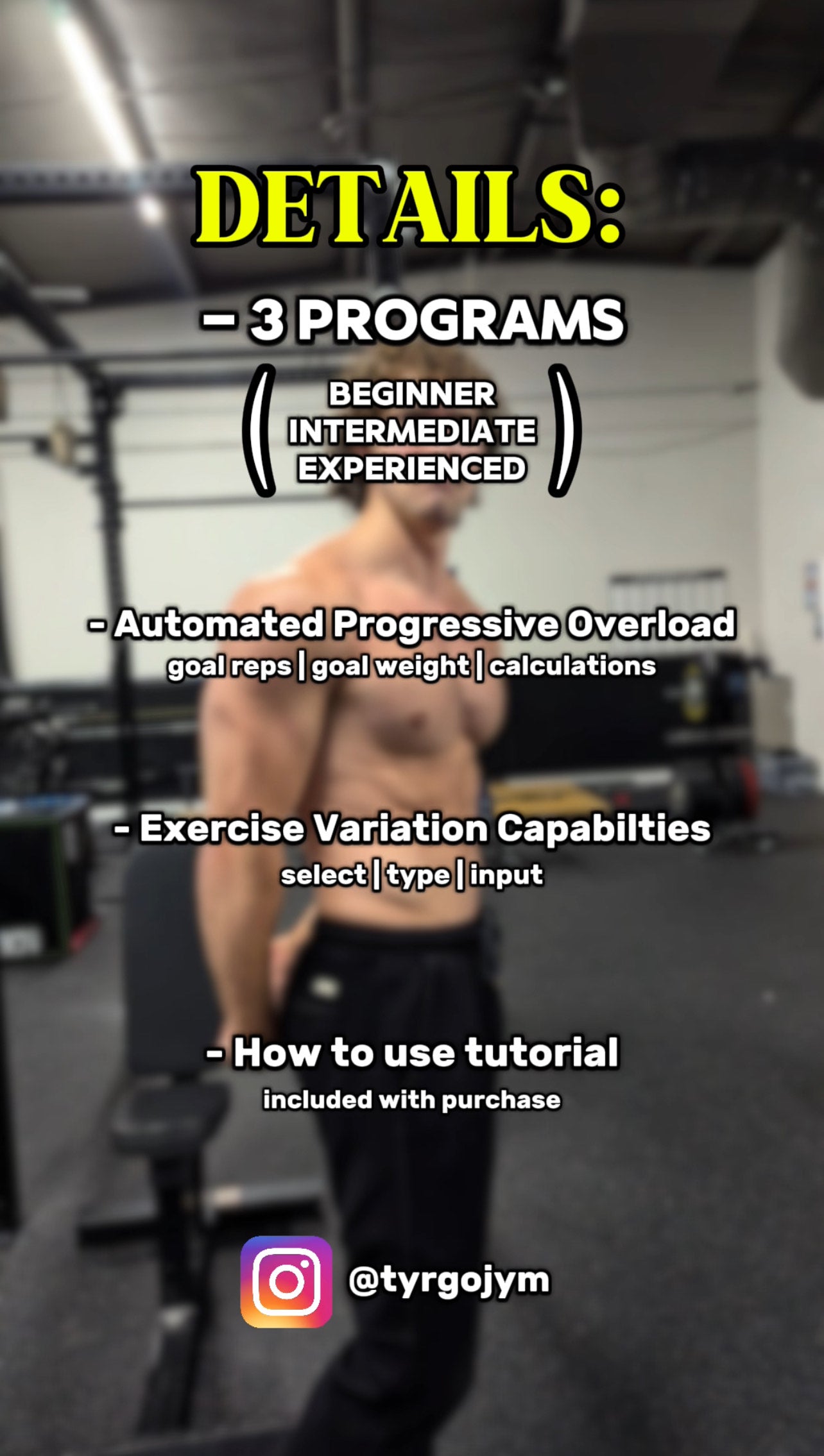 Tyr Rex Workout Program