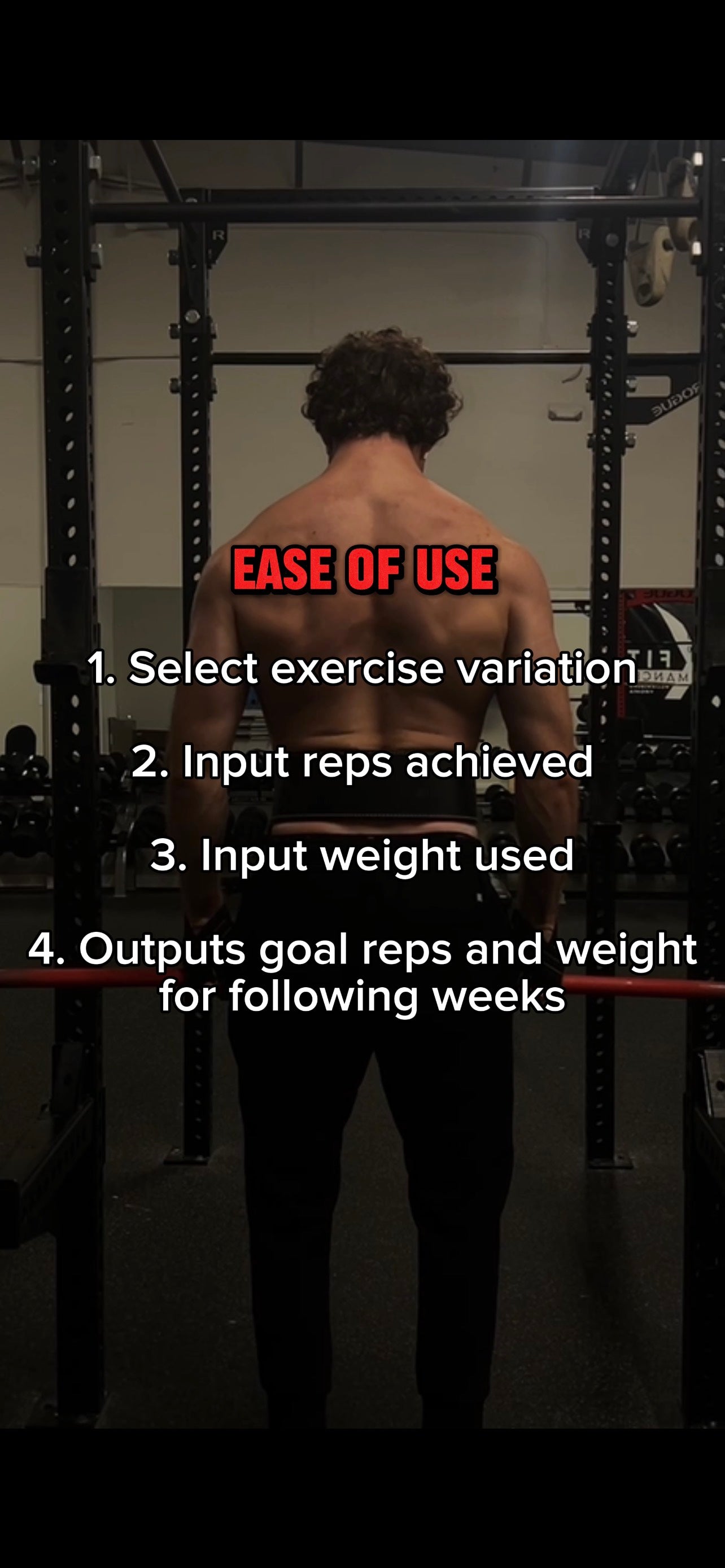 Tyr Rex Workout Program
